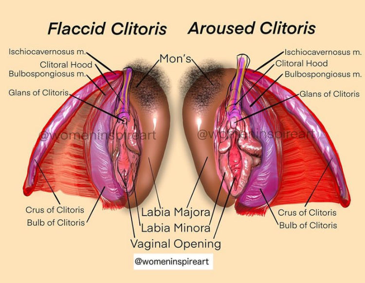 ESTRO TEA (9 SESSIONS) image 1