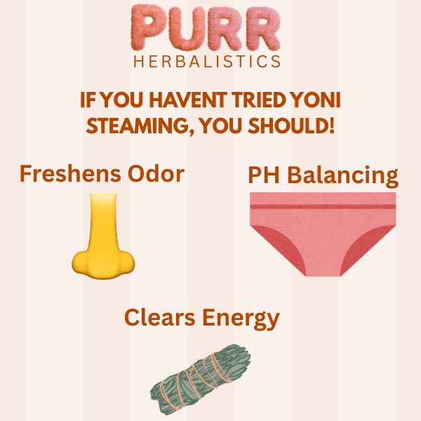 VAGINAL STEAM SEAT +  HYGIENIC HERBAL PACK image 4