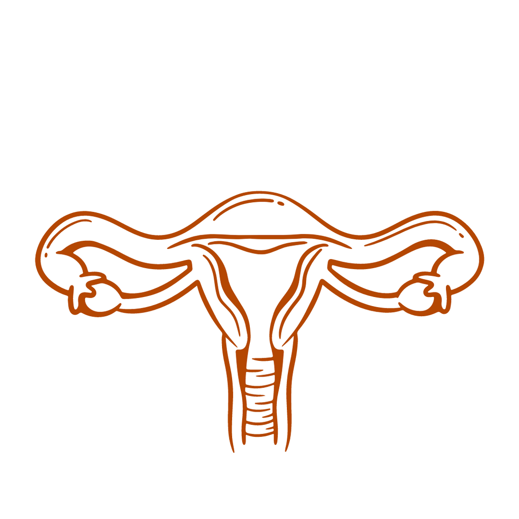 VAGINAL STEAM SEAT +  HYGIENIC HERBAL PACK image 3