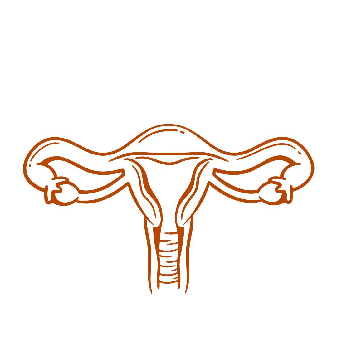 VAGINAL STEAM SEAT +  HYGIENIC HERBAL PACK image 3