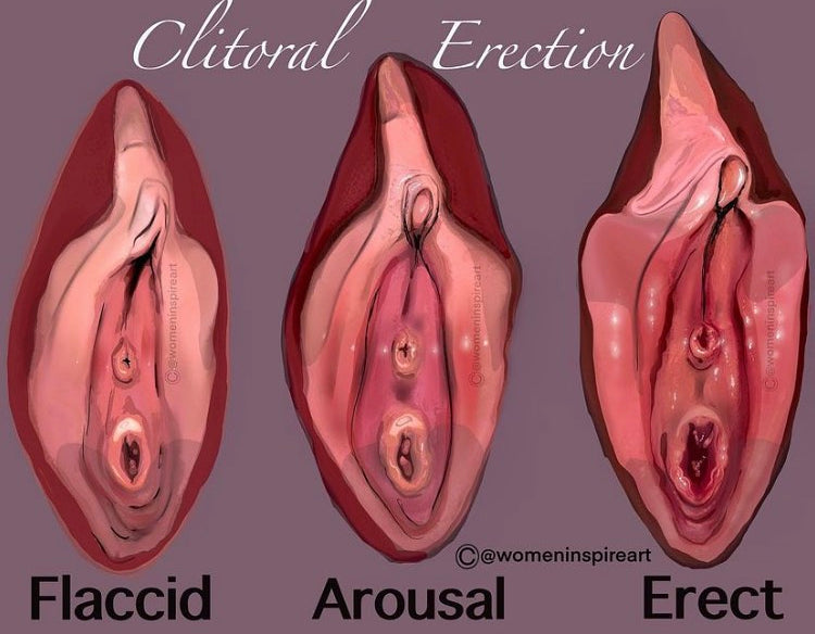 ESTRO TEA (9 SESSIONS) image 2
